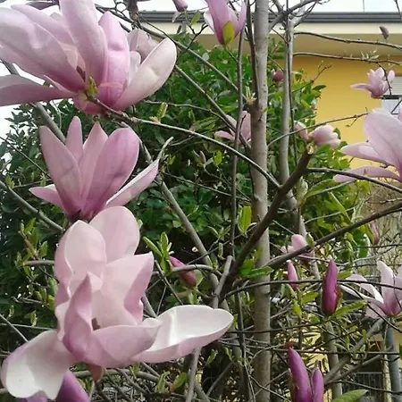 Lo Spazio Magico Bed & Breakfast San Martino In Passiria (Trentino Alto Adige)