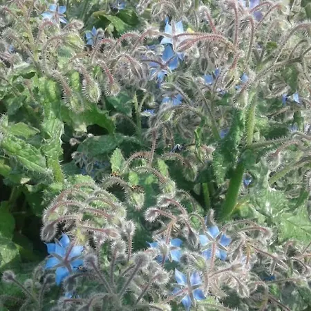 Lo Spazio Magico Bed & Breakfast