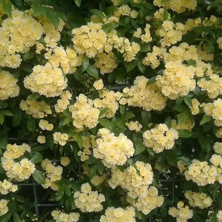 Alojamento de Acomodação e Pequeno-almoço Lo Spazio Magico