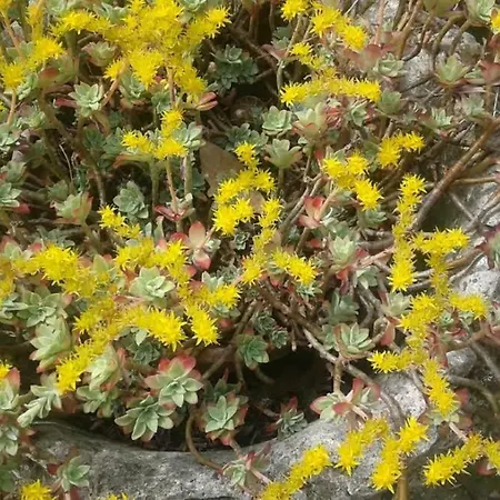 Lo Spazio Magico San Martino (Rimini)