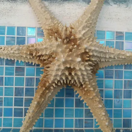 Lo Spazio Magico Alojamento de Acomodação e Pequeno-almoço