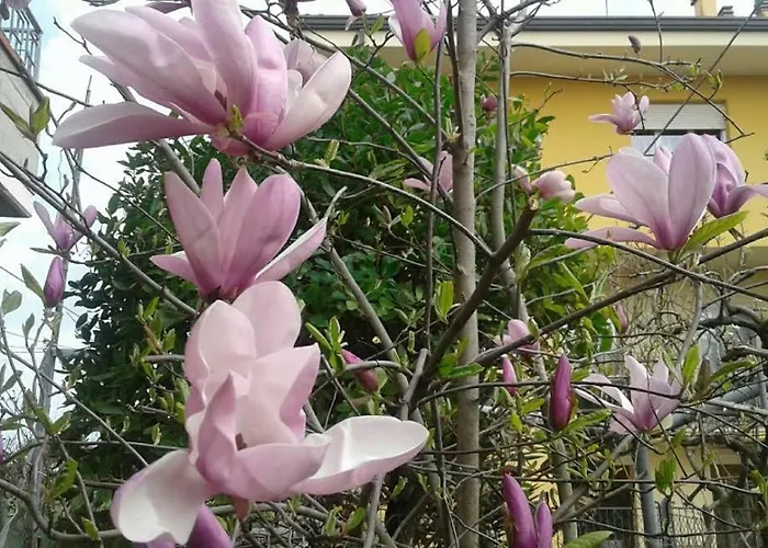 Lo Spazio Magico Alojamento de Acomodação e Pequeno-almoço San Martino In Passiria (Trentino Alto Adige)