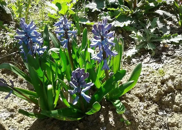 Lo Spazio Magico
