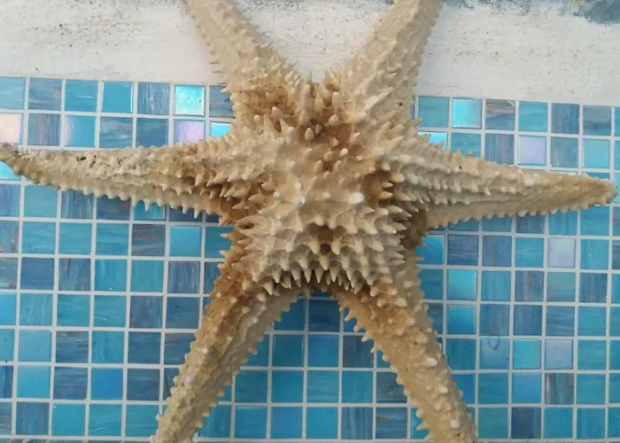 Lo Spazio Magico Alojamento de Acomodação e Pequeno-almoço